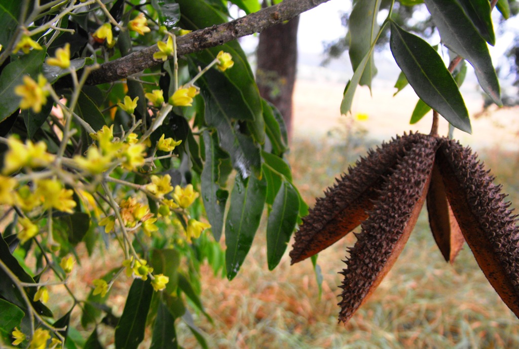 Photo by Martin Bennett